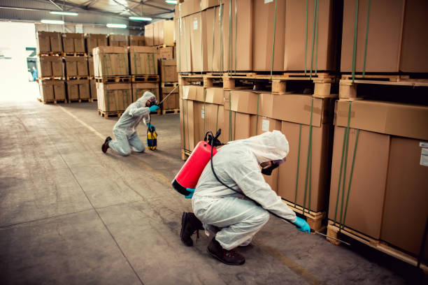 Best Wasp Removal Services  in Muttontown, NY