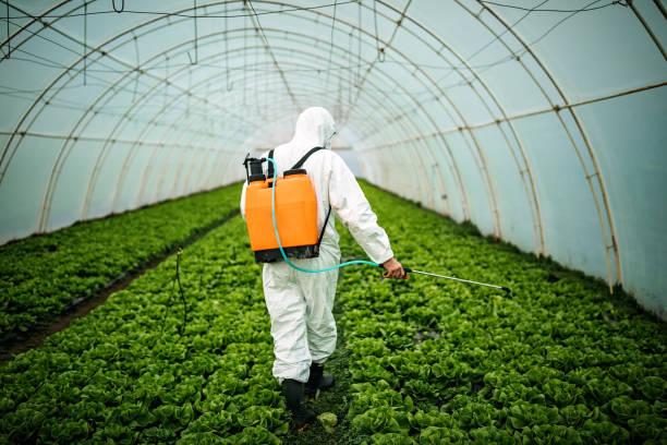 Best Pest Control for Homes  in Muttontown, NY
