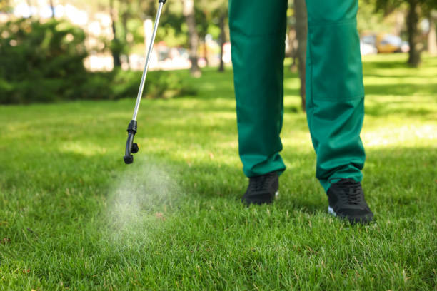 Pest Prevention Services in Muttontown, NY