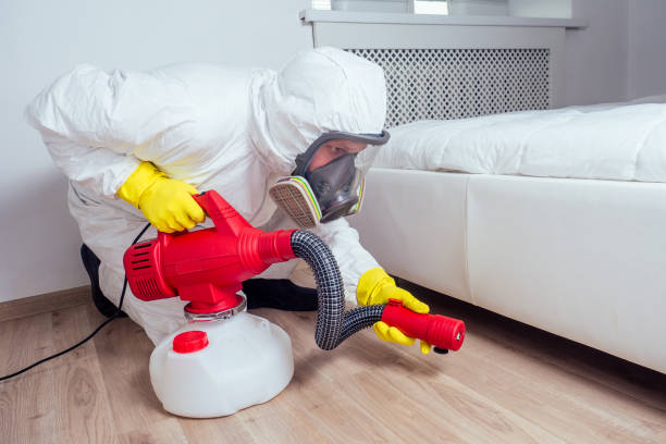 Trusted Muttontown, NY Pest Control Experts
