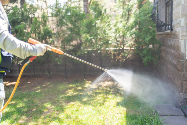 Insect Control in Muttontown, NY