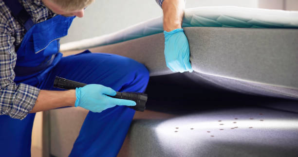 Best Wasp Removal Services  in Muttontown, NY