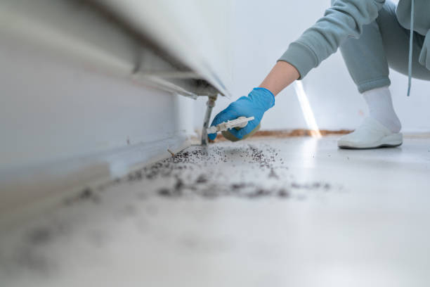 Best Best Pest Control Companies  in Muttontown, NY