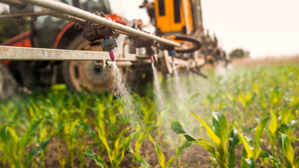 Best Local Pest Control Services  in Muttontown, NY